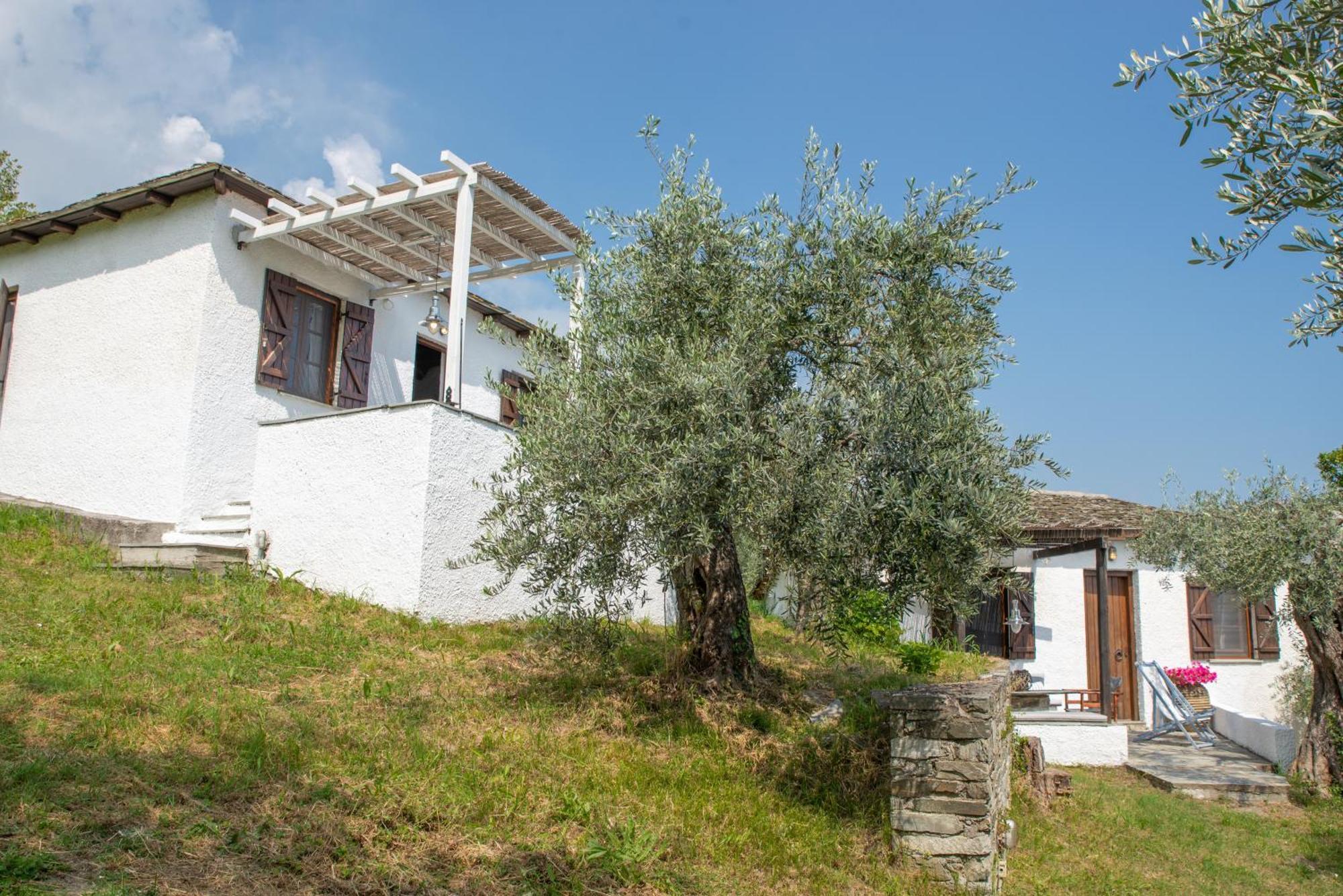 Aristi'S Country Houses Хорефто Стая снимка